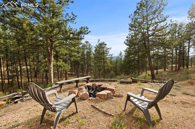 MLS Image for 1110  Pikes Peak  ,Florissant, Colorado