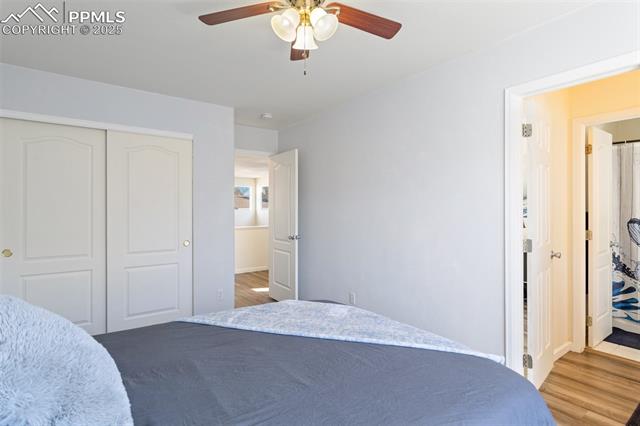 MLS Image for 969  Dawn Break  ,Colorado Springs, Colorado