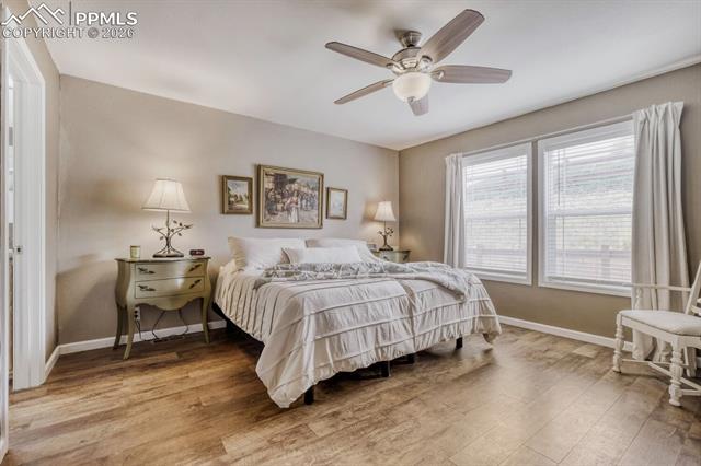 MLS Image for 4180  Gray Fox  ,Colorado Springs, Colorado