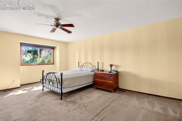 MLS Image for 1055  Point of the Pines  ,Colorado Springs, Colorado