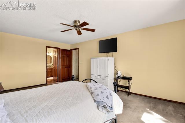 MLS Image for 1055  Point of the Pines  ,Colorado Springs, Colorado