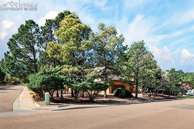 MLS Image for 1055  Point of the Pines  ,Colorado Springs, Colorado