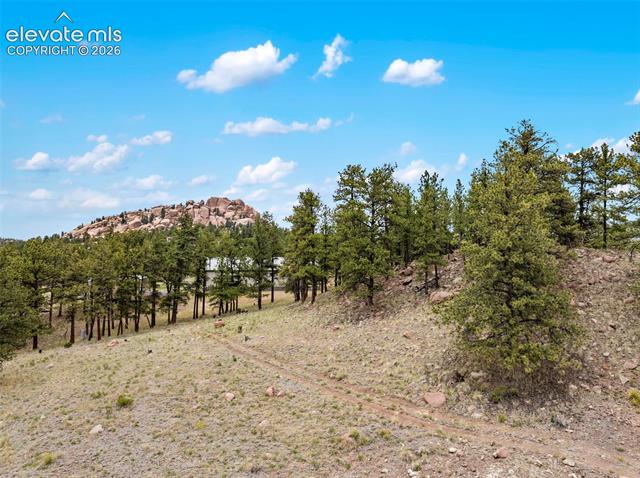 MLS Image for 251  Surrey  ,Florissant, Colorado