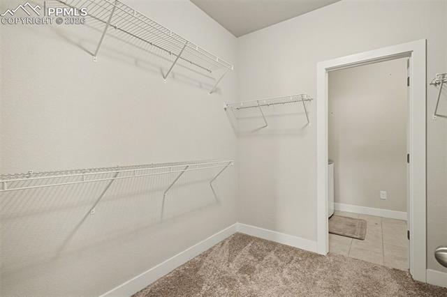 MLS Image for 6562  Mancala  ,Colorado Springs, Colorado