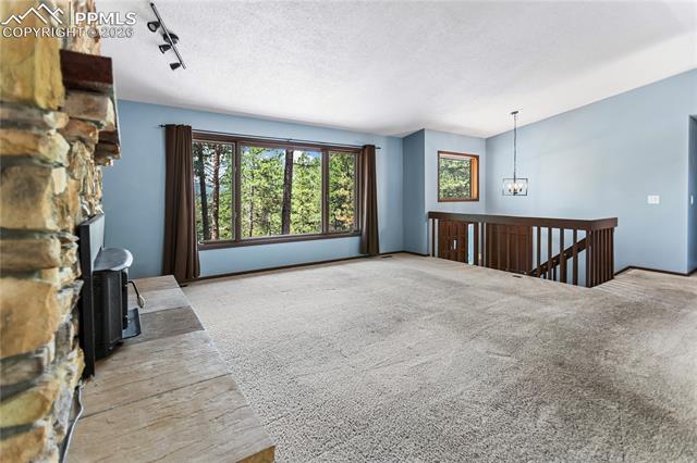 MLS Image for 1129  Forest Hill  ,Woodland Park, Colorado