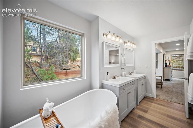 MLS Image for 935  War Eagle  ,Colorado Springs, Colorado