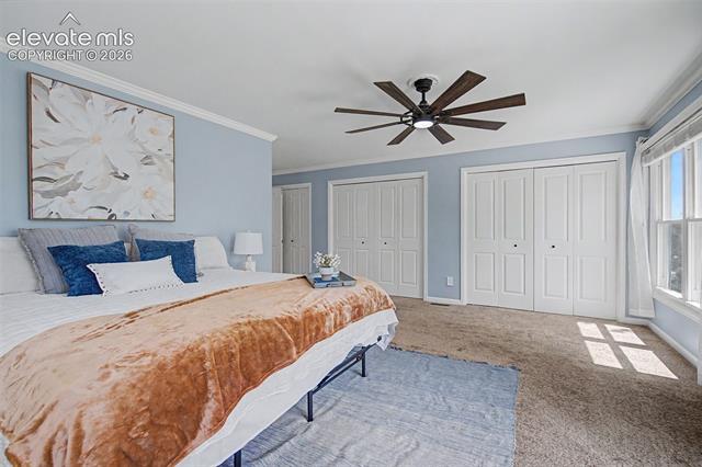 MLS Image for 3850  Wolcott  ,Colorado Springs, Colorado