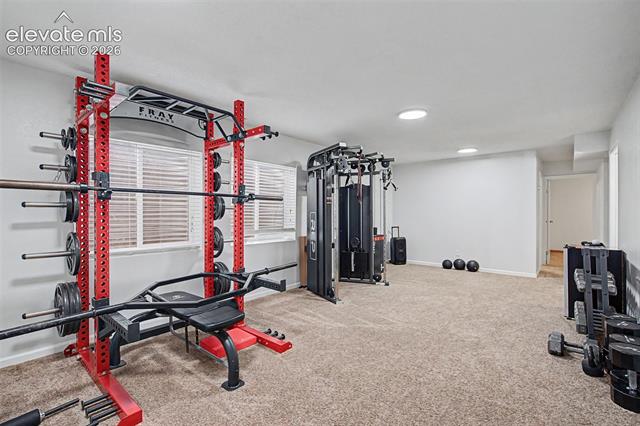 MLS Image for 3850  Wolcott  ,Colorado Springs, Colorado