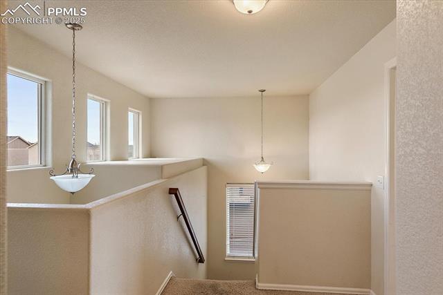 MLS Image for 10454  Silver Stirrup  ,Colorado Springs, Colorado