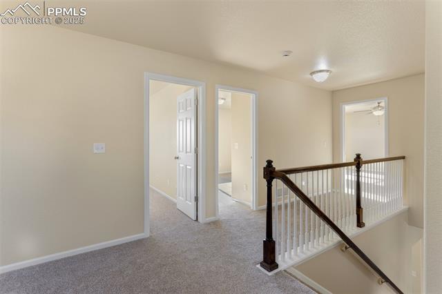 MLS Image for 8313  Hardwood  ,Colorado Springs, Colorado