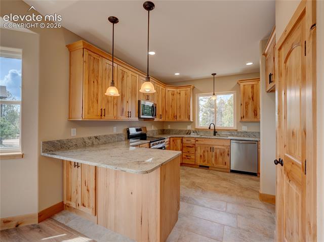 MLS Image for 748  Pinewood  ,Florissant, Colorado