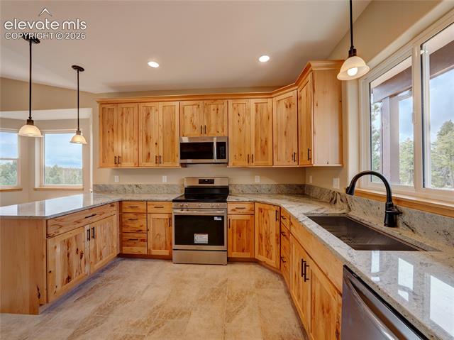 MLS Image for 748  Pinewood  ,Florissant, Colorado