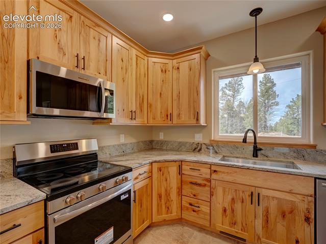 MLS Image for 748  Pinewood  ,Florissant, Colorado