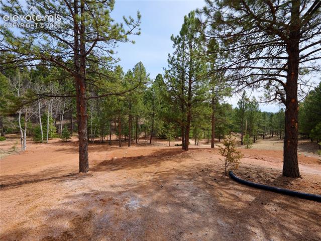MLS Image for 748  Pinewood  ,Florissant, Colorado