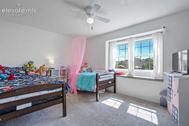 MLS Image for 10065  Litchfield  ,Peyton, Colorado