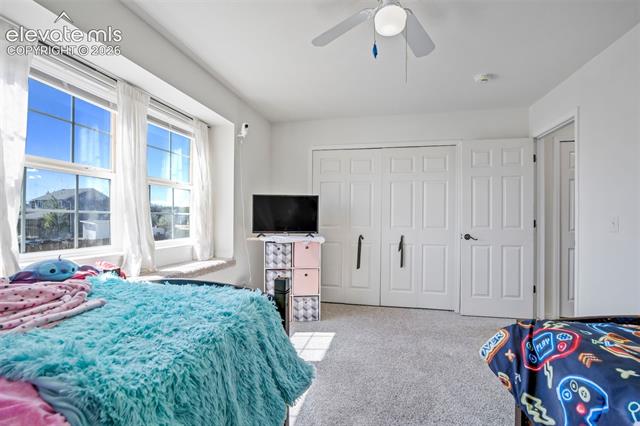 MLS Image for 10065  Litchfield  ,Peyton, Colorado