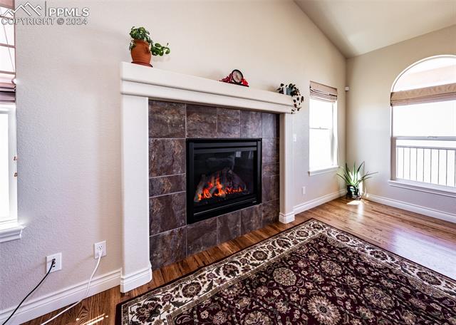 MLS Image for 14635  Park Canyon  ,Colorado Springs, Colorado