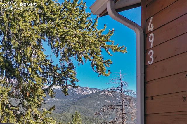 MLS Image for 493  Horseshoe  ,Divide, Colorado