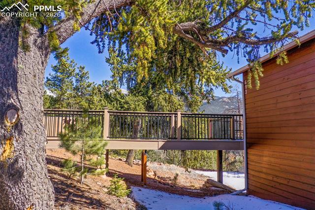 MLS Image for 493  Horseshoe  ,Divide, Colorado