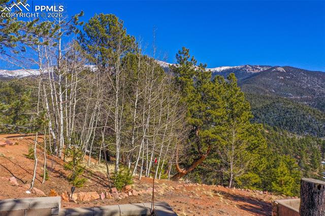 MLS Image for 493  Horseshoe  ,Divide, Colorado