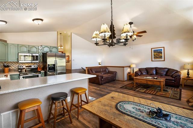 MLS Image for 493  Horseshoe  ,Divide, Colorado