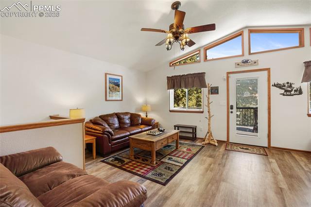 MLS Image for 493  Horseshoe  ,Divide, Colorado