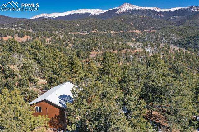 MLS Image for 493  Horseshoe  ,Divide, Colorado