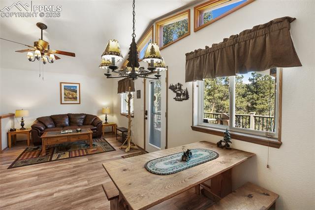 MLS Image for 493  Horseshoe  ,Divide, Colorado