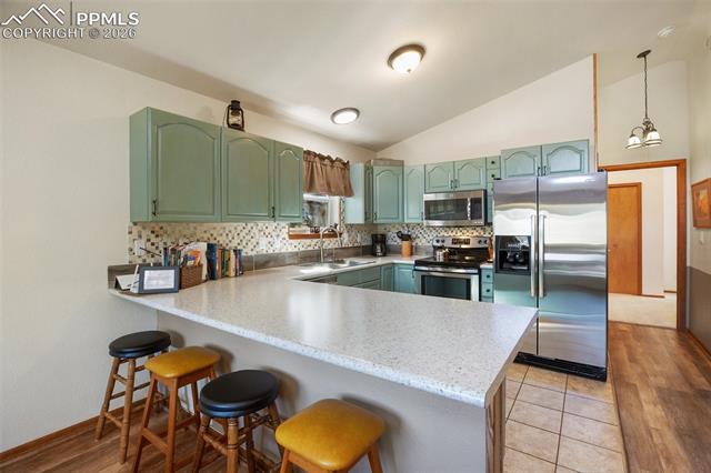 MLS Image for 493  Horseshoe  ,Divide, Colorado