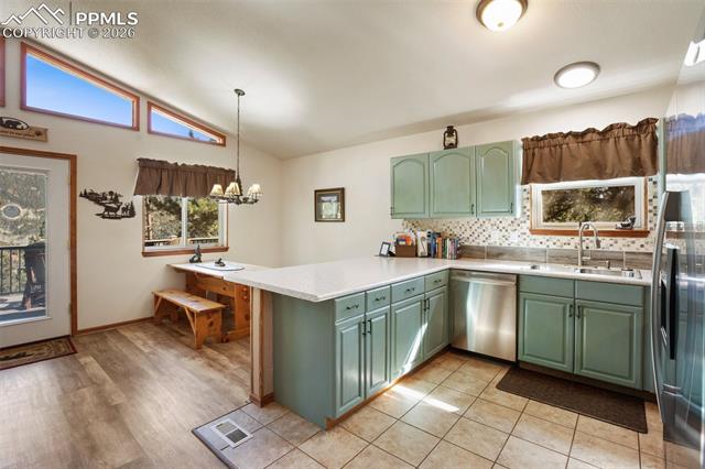 MLS Image for 493  Horseshoe  ,Divide, Colorado