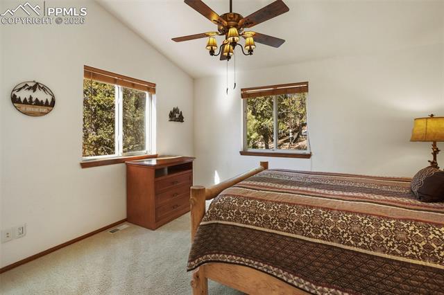 MLS Image for 493  Horseshoe  ,Divide, Colorado