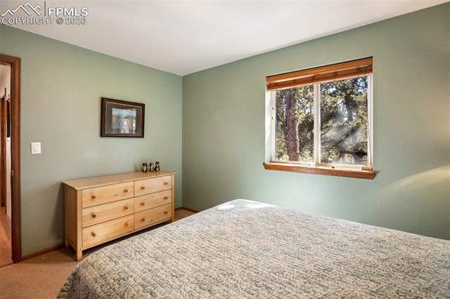 MLS Image for 493  Horseshoe  ,Divide, Colorado