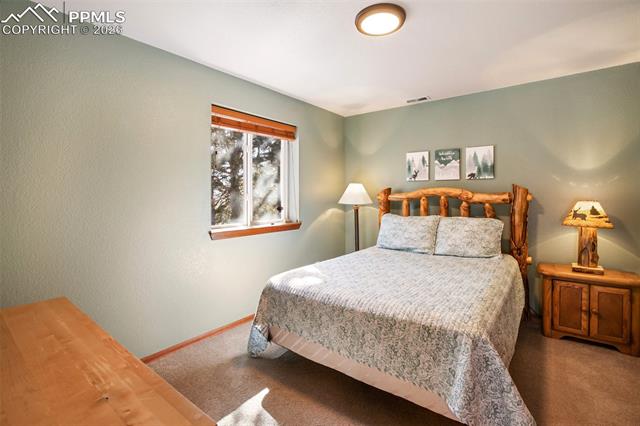 MLS Image for 493  Horseshoe  ,Divide, Colorado
