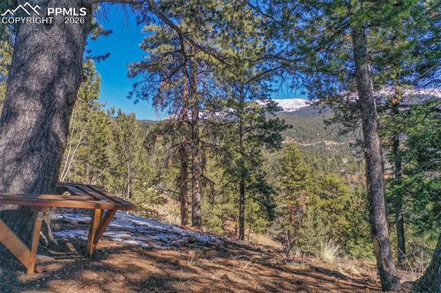 MLS Image for 493  Horseshoe  ,Divide, Colorado