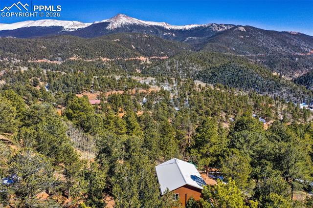 MLS Image for 493  Horseshoe  ,Divide, Colorado