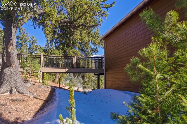 MLS Image for 493  Horseshoe  ,Divide, Colorado