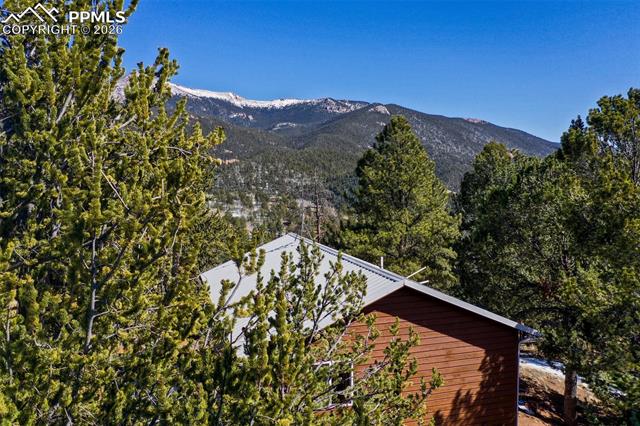 MLS Image for 493  Horseshoe  ,Divide, Colorado