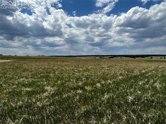 MLS Image for 11970  Woodridge  ,Colorado Springs, Colorado