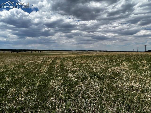 MLS Image for 11970  Woodridge  ,Colorado Springs, Colorado