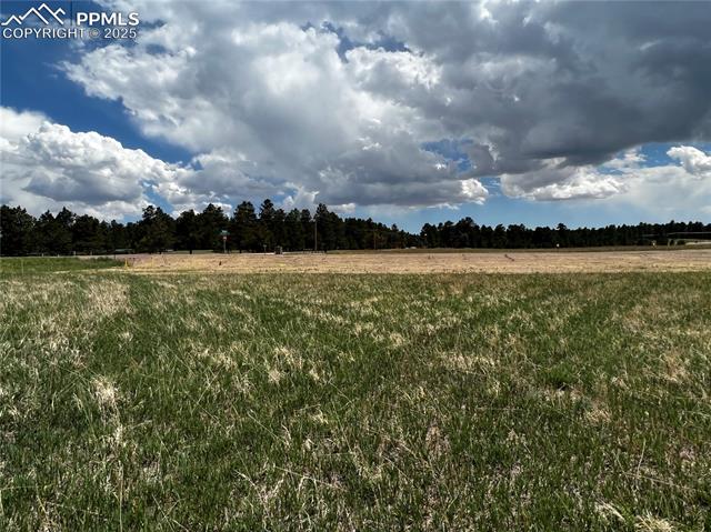 MLS Image for 11970  Woodridge  ,Colorado Springs, Colorado