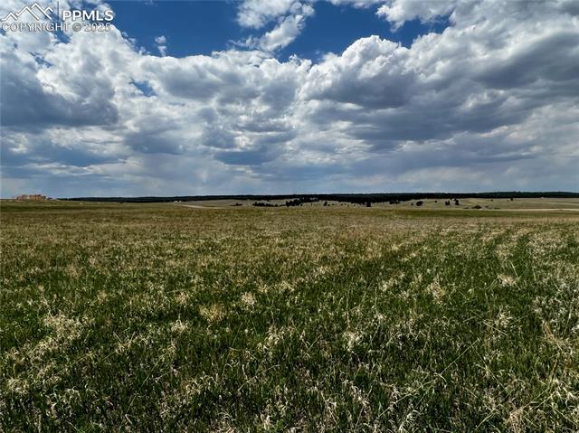 MLS Image for 11970  Woodridge  ,Colorado Springs, Colorado