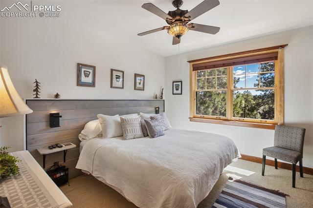 MLS Image for 221  Columbine  ,Woodland Park, Colorado