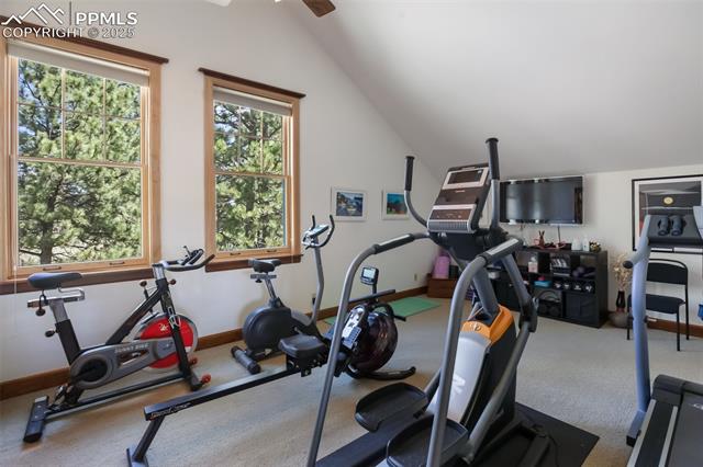 MLS Image for 221  Columbine  ,Woodland Park, Colorado