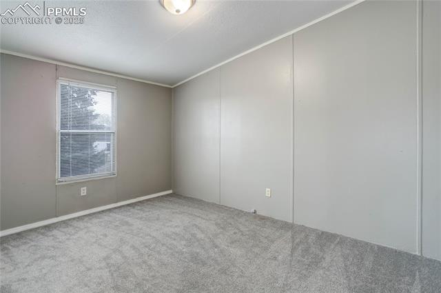 MLS Image for 23755  Wheat  ,Colorado Springs, Colorado
