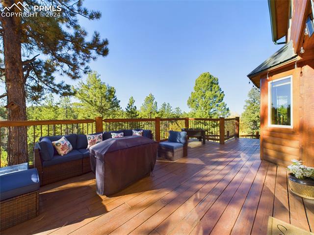 MLS Image for 3313  County Road 51  ,Divide, Colorado