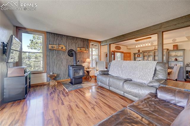 MLS Image for 3313  County Road 51  ,Divide, Colorado