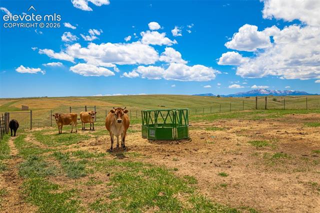 MLS Image for 6555  Echo Ridge  ,Colorado Springs, Colorado