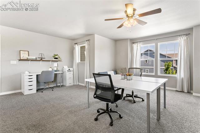 MLS Image for 6251  Stonefly  ,Colorado Springs, Colorado