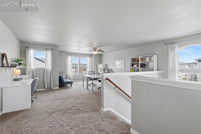 MLS Image for 6251  Stonefly  ,Colorado Springs, Colorado
