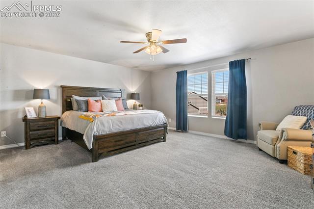 MLS Image for 6251  Stonefly  ,Colorado Springs, Colorado